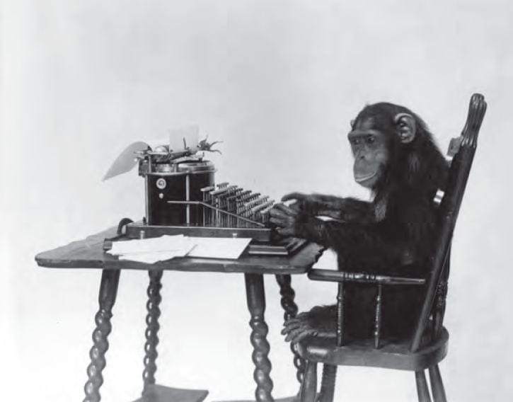photo of animal typing at keyboard